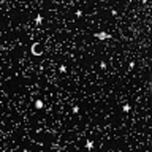 Meet your Posher, Elise